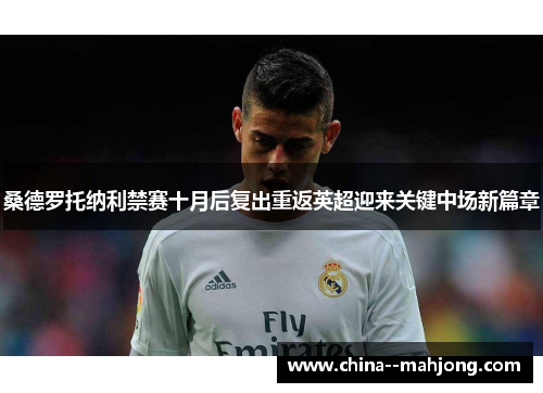 桑德罗托纳利禁赛十月后复出重返英超迎来关键中场新篇章