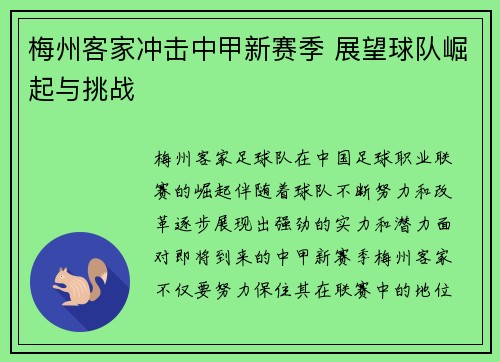 梅州客家冲击中甲新赛季 展望球队崛起与挑战